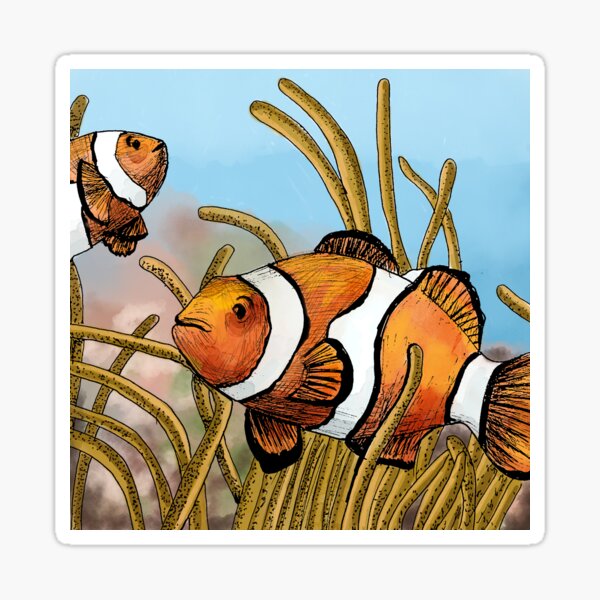Clownfish Sticker