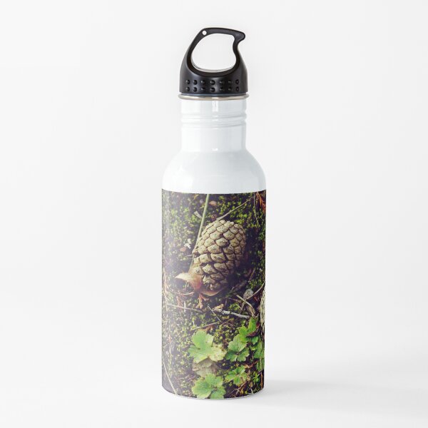 Pine cones on the ground Water Bottle