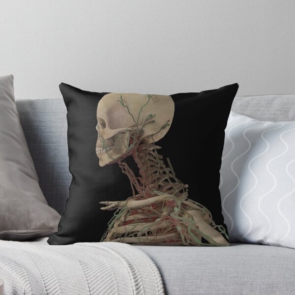 Item preview, 3D rendering of human skull with lymphatic system. designed and sold by StocktrekImages.
