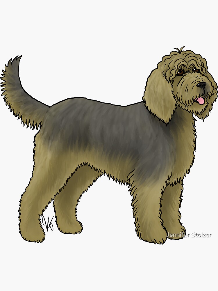 Black otterhound 2024