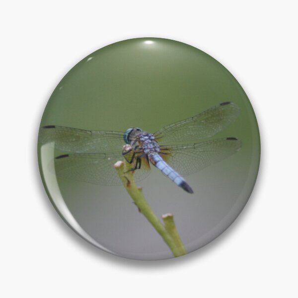Item preview, Dragonfly designed and sold by Joe Sorge.