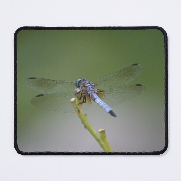 Item preview, Dragonfly designed and sold by Joe Sorge.