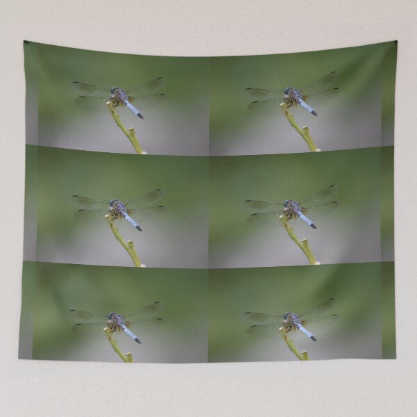 Item preview, Dragonfly designed and sold by Joe Sorge.