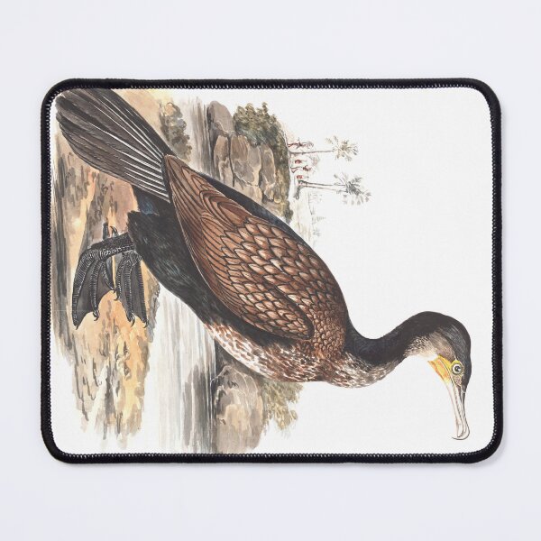 Item preview, Great Cormorant by Elizabeth Gwillim designed and sold by Amanda1775.