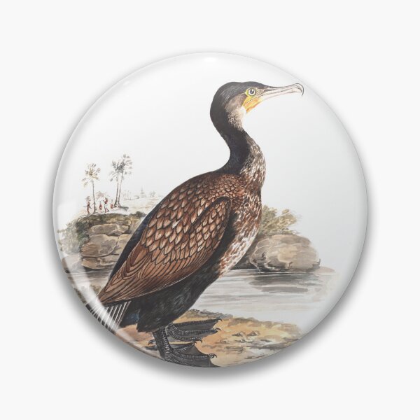 Item preview, Great Cormorant by Elizabeth Gwillim designed and sold by Amanda1775.