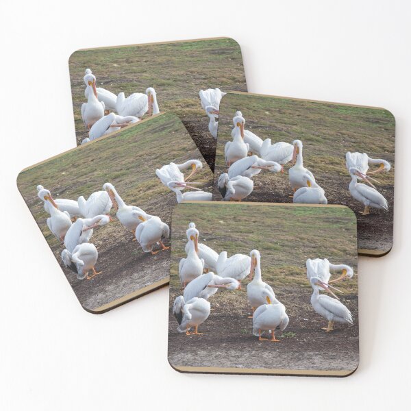 Item preview, White Pelicans Preening designed and sold by CarolM.