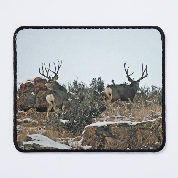 Item preview, Mule deer bucks first snow designed and sold by Saltypro.
