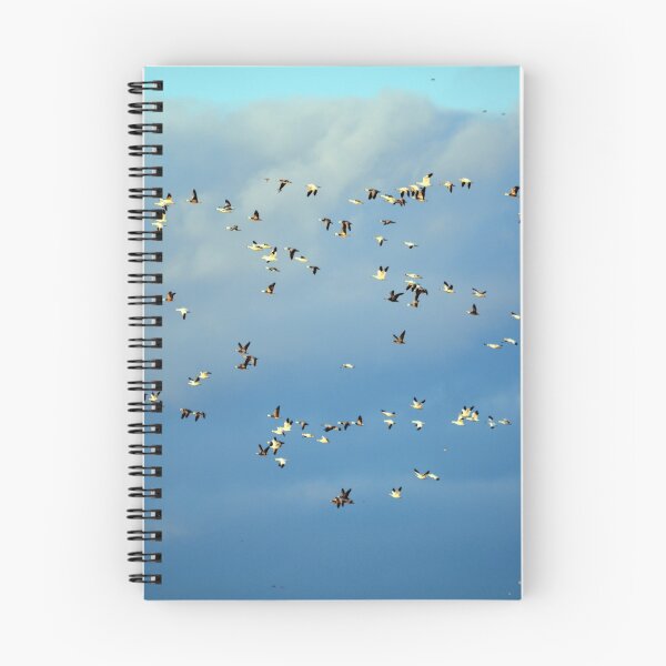 Item preview, Migratory Clouds designed and sold by LynyrdSky.