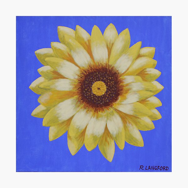 FLOWER EXPLOSION Photographic Print