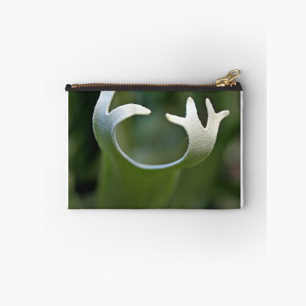 Item preview, Staghorn Fern designed and sold by OftheStar.