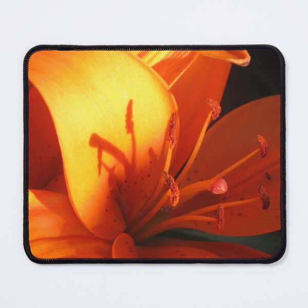 Item preview, Orange Flower 2 designed and sold by Jaeda DeWalt.