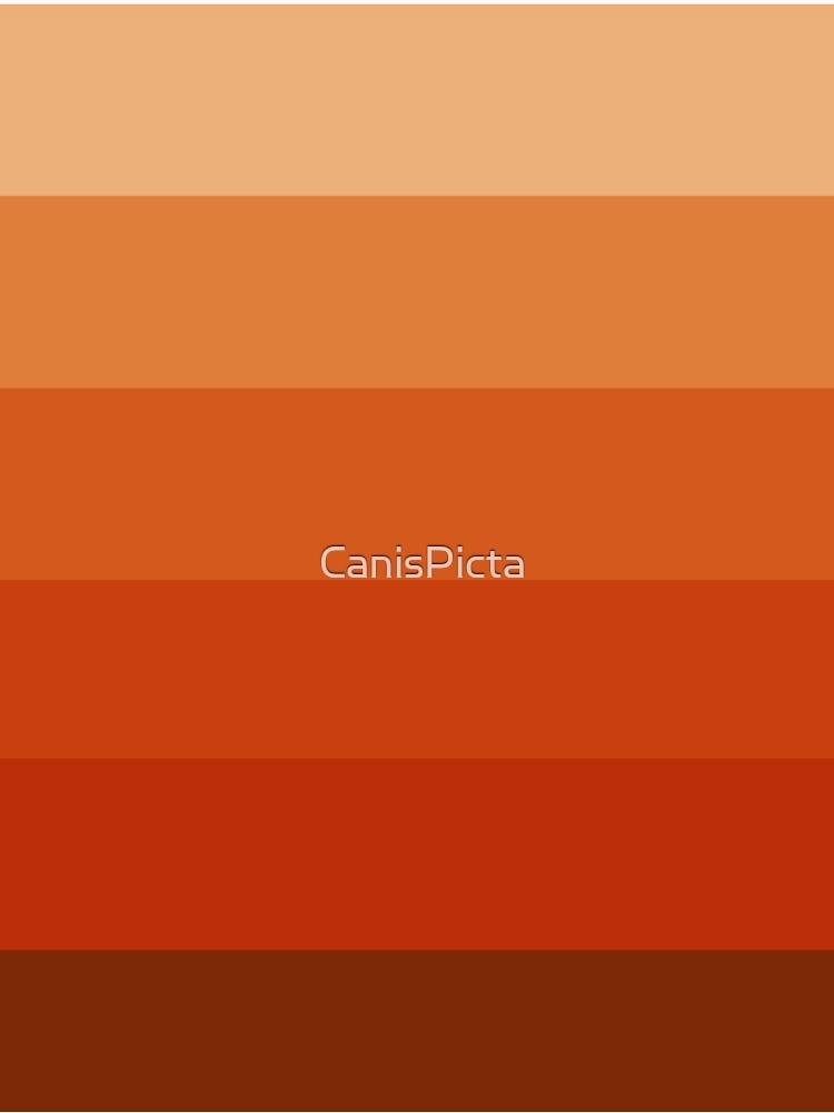 Burnt Umber Ombre by CanisPicta