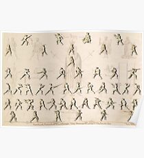 The Poste (Positions/Guards) "Getty" Fiore dei Liberi Poster