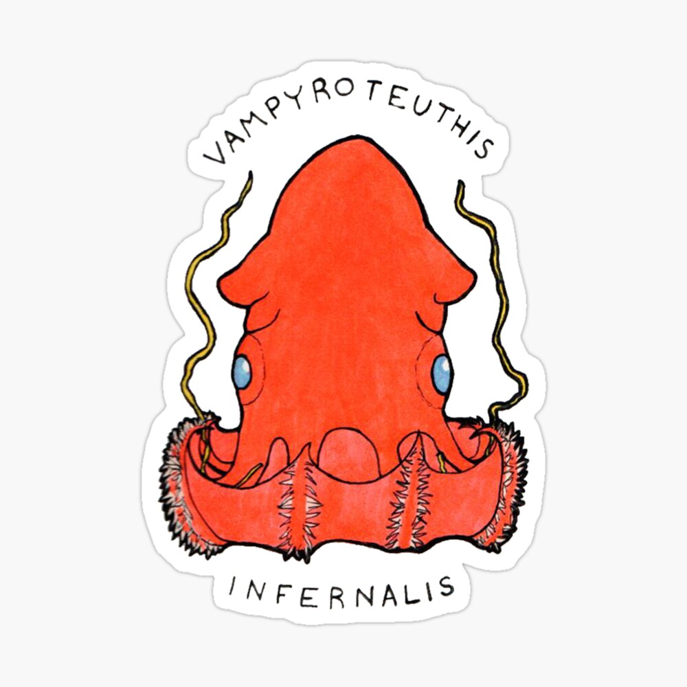 Vampyroteuthis Infernalis Greeting Card for Sale by alogism | Redbubble