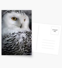 Hedwig Postkarten