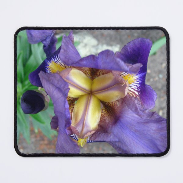 Item preview, Purple Iris Flower 6 designed and sold by Jaeda DeWalt.