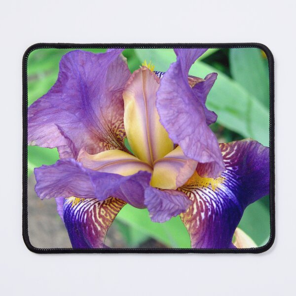 Item preview, Purple Iris Flower 5 designed and sold by Jaeda DeWalt.