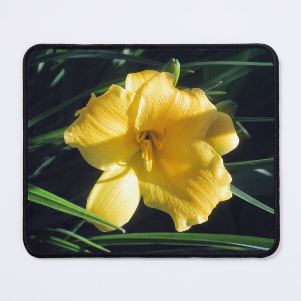 Item preview, Yellow Flower 1 designed and sold by Jaeda DeWalt.