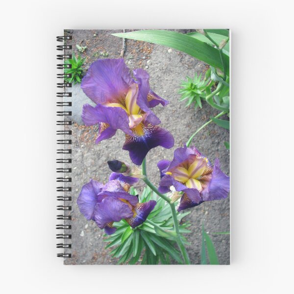 Item preview, Purple Iris Flowers 3 designed and sold by Jaeda DeWalt.
