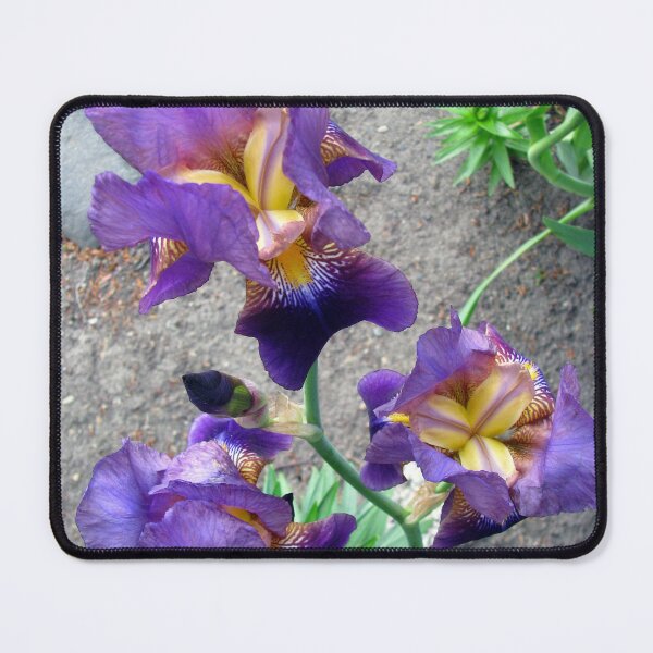 Item preview, Purple Iris Flowers 3 designed and sold by Jaeda DeWalt.
