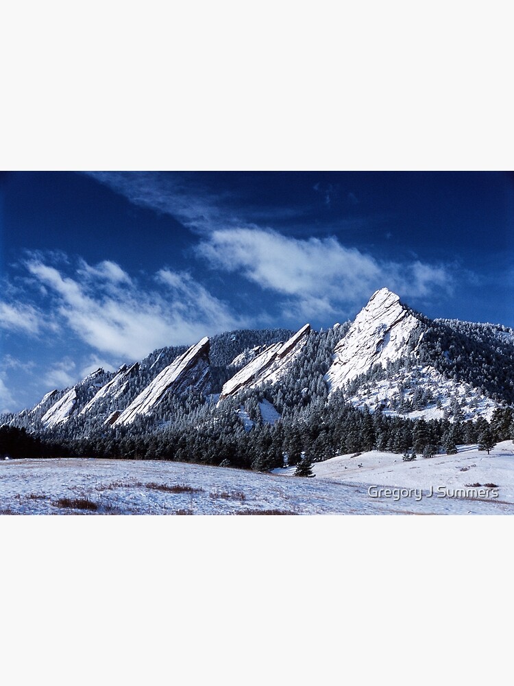 Majestic by nikongreg