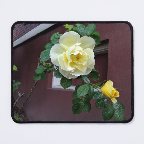 Item preview, Garden Roses 1 designed and sold by Jaeda DeWalt.