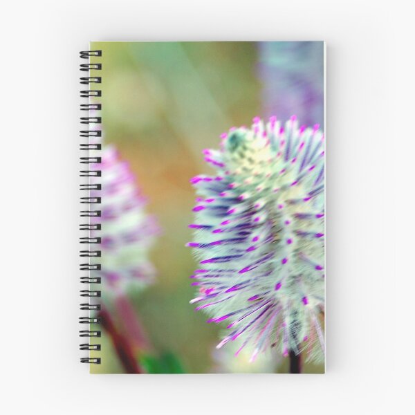 Item preview, Mulla Mulla wild flowers W.A designed and sold by treborbob.