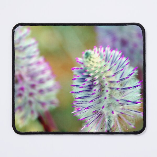 Item preview, Mulla Mulla wild flowers W.A designed and sold by treborbob.