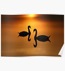 2 On Golden Pond Poster