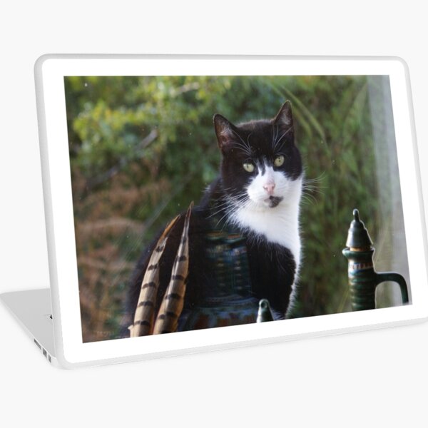 Aperçu de l'œuvre Chat curieux créée et vendue par Gilberte.