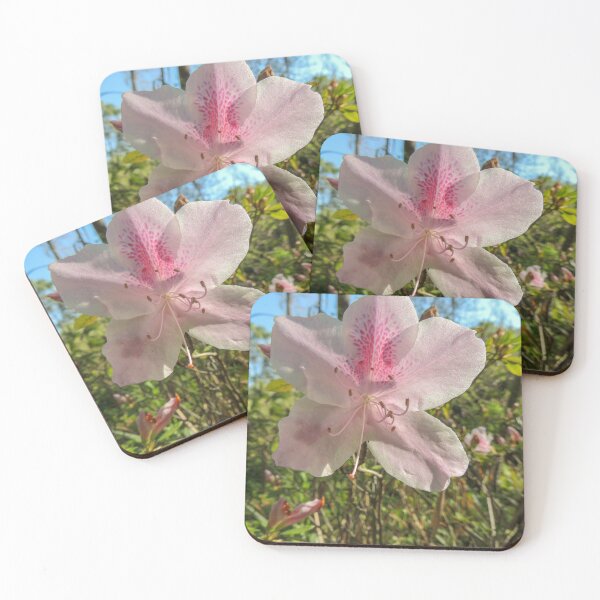 Item preview, Pink Shell Azaleas Bloom designed and sold by bwheeler.