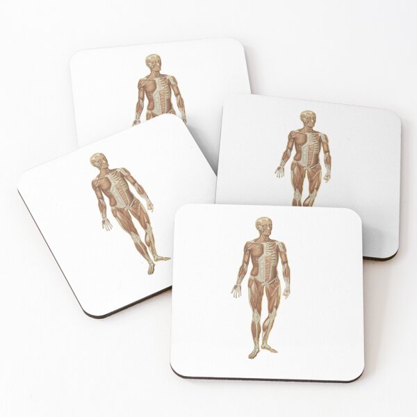 Item preview, Human anatomy poster | Human anatomy t-shirt  designed and sold by KARTICK DUTTA.