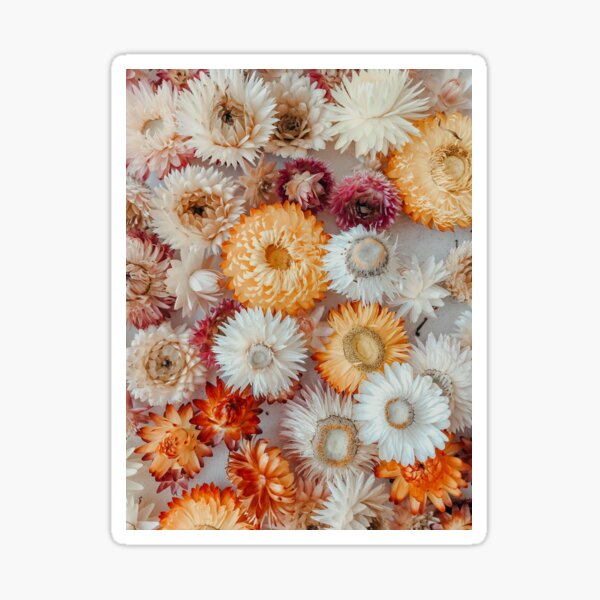 Dry Flowers Stickers for Sale | Redbubble