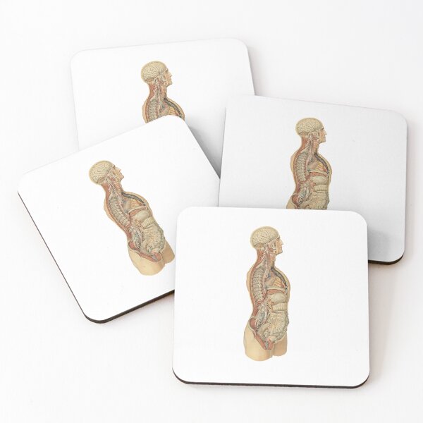 Item preview, Human anatomy side view poster | Human anatomy side view t-shirt  designed and sold by KARTICK DUTTA.