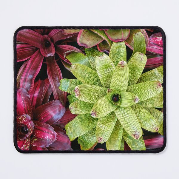 Item preview, Colorful plants designed and sold by thehappylot.