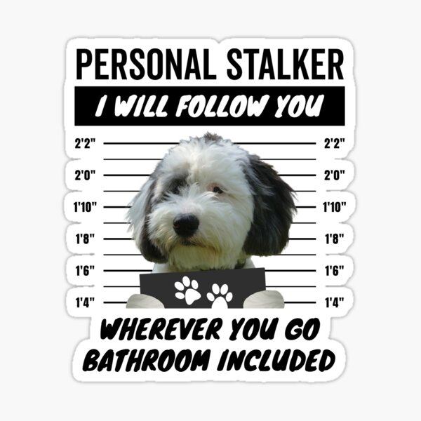 Item preview, Personal Stalker Dog – Sheepadoodle designed and sold by More Cute Dogs.