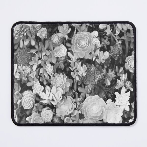 Item preview, Black and White Succulents Repeating Pattern designed and sold by nimreninmu.