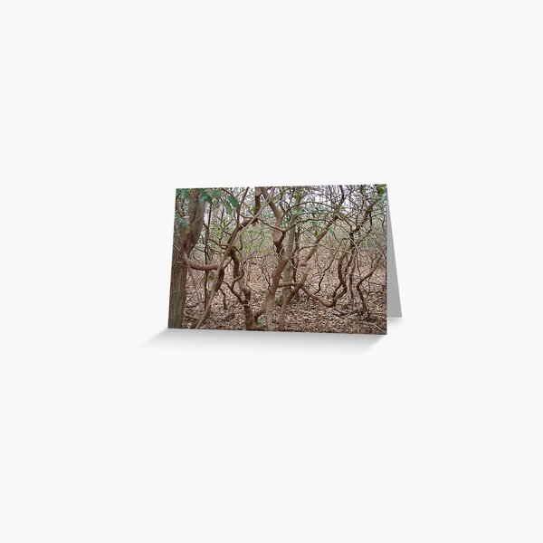 REDREAMING TANGLE Greeting Card