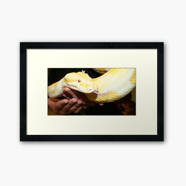 REDREAMING SERPENT Framed Art Print