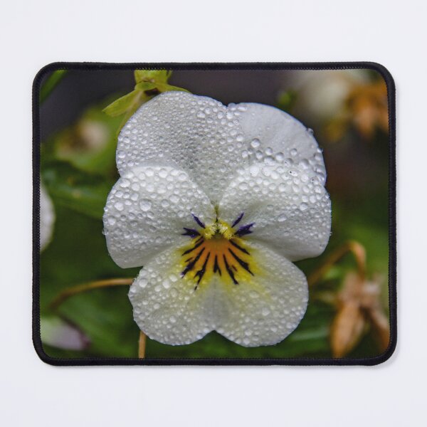 Item preview, miniature pansy in the rain designed and sold by Perggals© - Stacey Turner.
