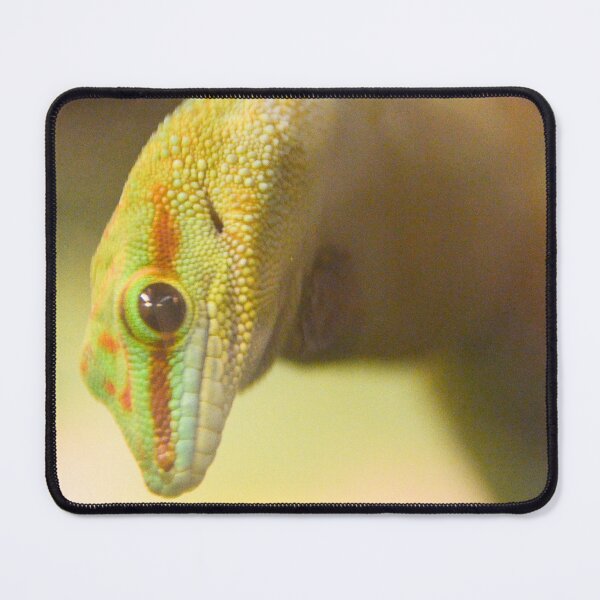 Item preview, Lizard Lover, Gecko designed and sold by Ksswaden.
