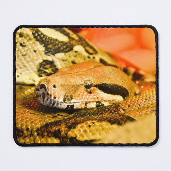 Item preview, Snake Lover designed and sold by Ksswaden.