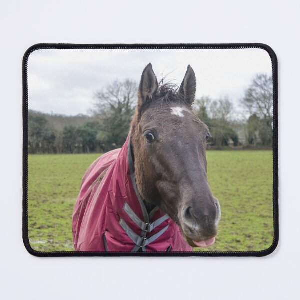 Item preview, Cheeky Horse designed and sold by Ksswaden.