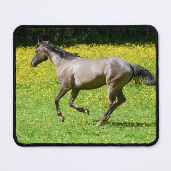 Item preview, Cantering Horse designed and sold by Ksswaden.