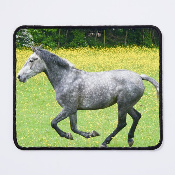 Item preview, Dapple Grey Cantering Horse designed and sold by Ksswaden.