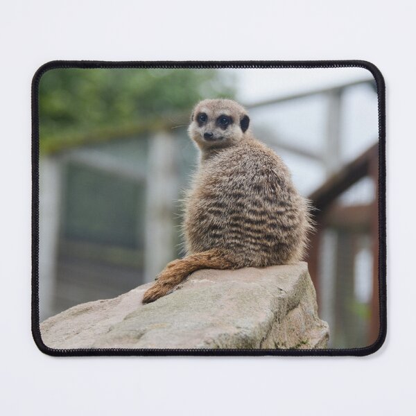 Item preview, Meerkat @ Exmoor Zoo designed and sold by Ksswaden.