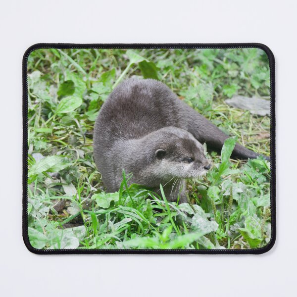 Item preview, Otter Lovers designed and sold by Ksswaden.