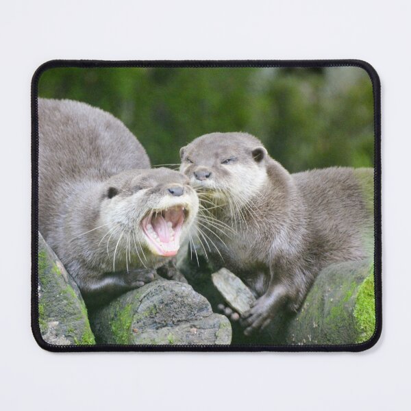 Item preview, Otters yawning designed and sold by Ksswaden.