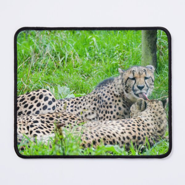 Item preview, Cheetah's Grooming designed and sold by Ksswaden.