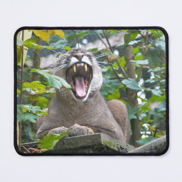Item preview, Cougars/Puma designed and sold by Ksswaden.